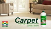 Carpet         ,  ,    
